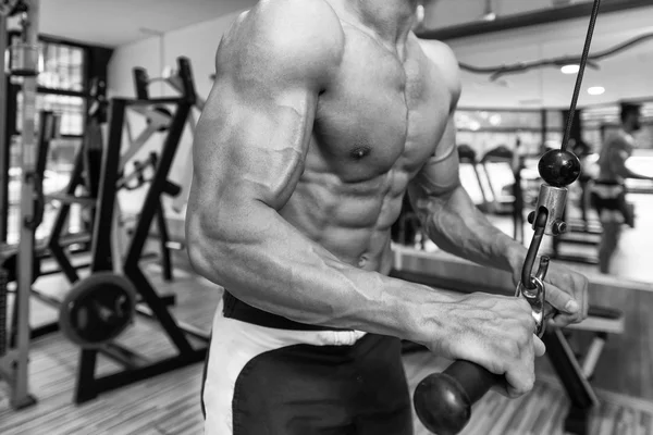 Triceps cvičení v tělocvičně — Stock fotografie