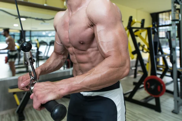 Triceps Workout In Gym — Stock Photo, Image