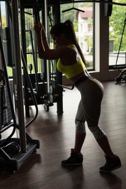 Latina kadının Triceps için ağır egzersiz yapması