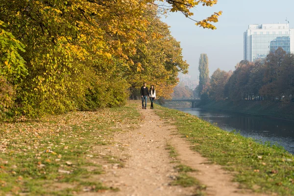 Paar hand in hand en wandelen In het bos — Stockfoto