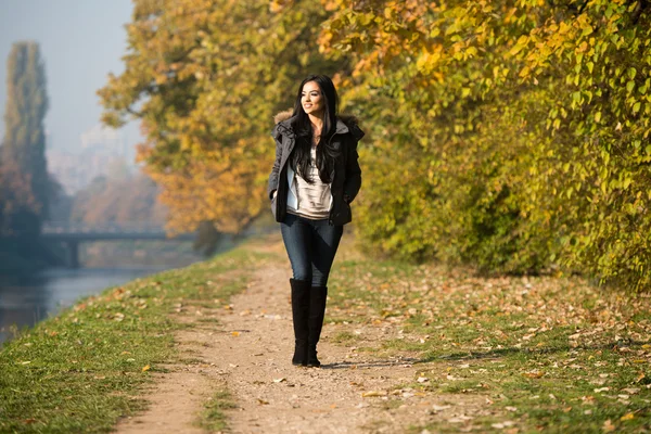 Giovane donna a piedi nella foresta autunnale — Foto Stock