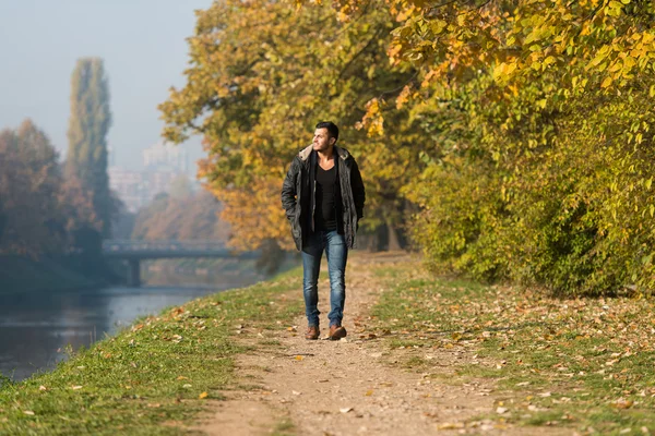 Hombre atractivo caminando en el bosque de otoño —  Fotos de Stock