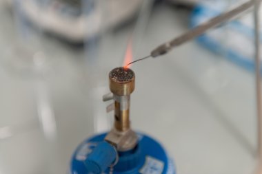 Öğrenci Laboratuvarında Araştırma Yapıyor