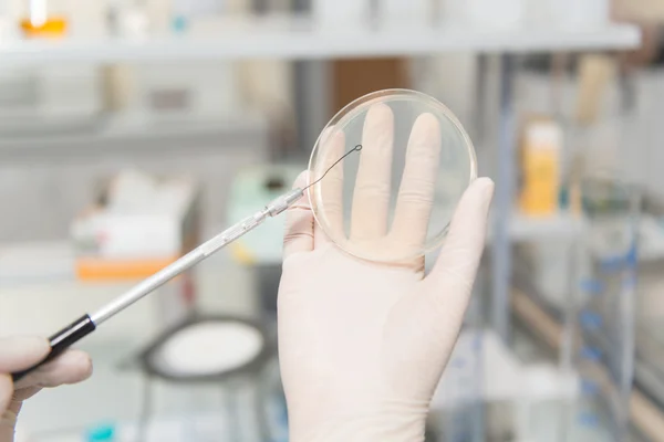 Studenten voeren onderzoek uit in een laboratorium — Stockfoto