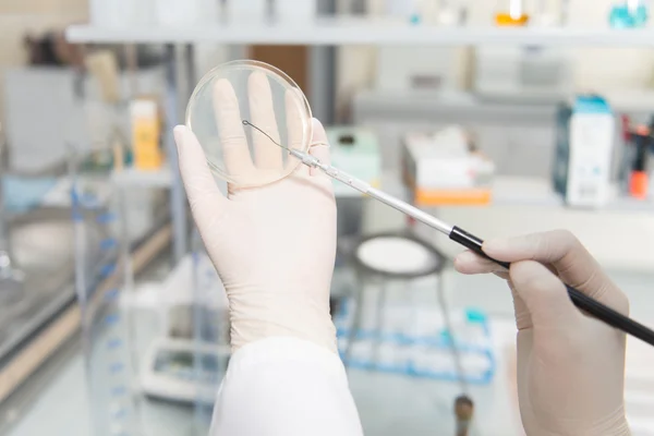 Scientist Doing Experiment In Laboratory — Stock Photo, Image