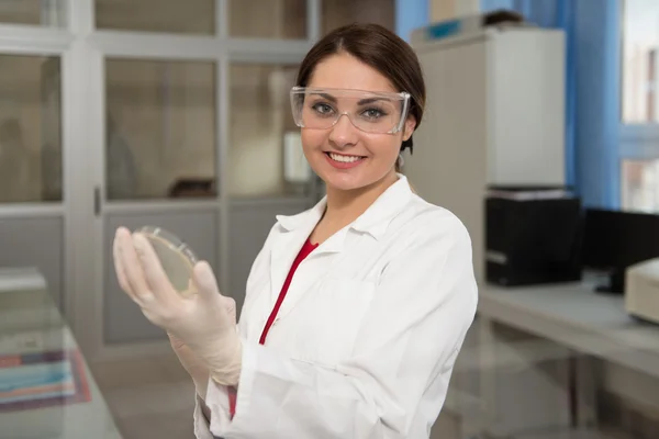 Jonge vrouwelijke wetenschappers werken in het laboratorium — Stockfoto