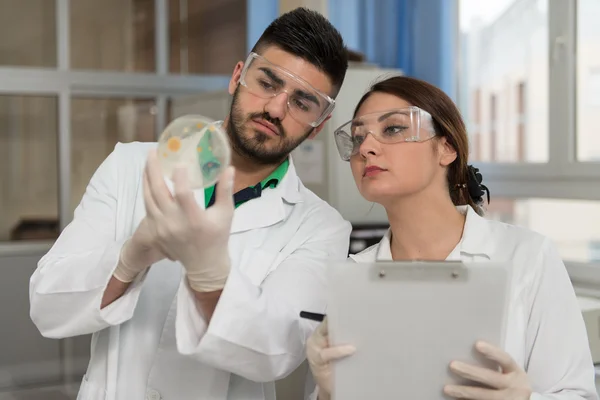 Groep wetenschappers werkzaam in het laboratorium — Stockfoto