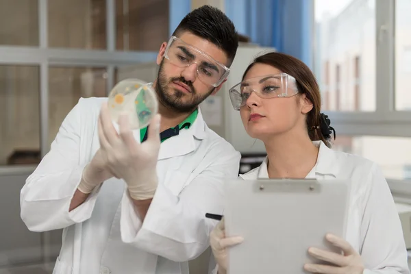 Grupo de científicos que trabajan en el laboratorio —  Fotos de Stock