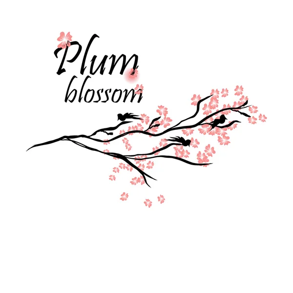 Plum blossom, våren — Stock vektor