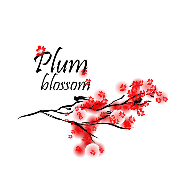 Plum blossom, spring