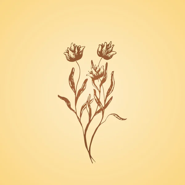 Hand getekend tulp bloemen — Stockvector
