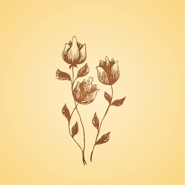 手画的罂粟花朵 — 图库矢量图片