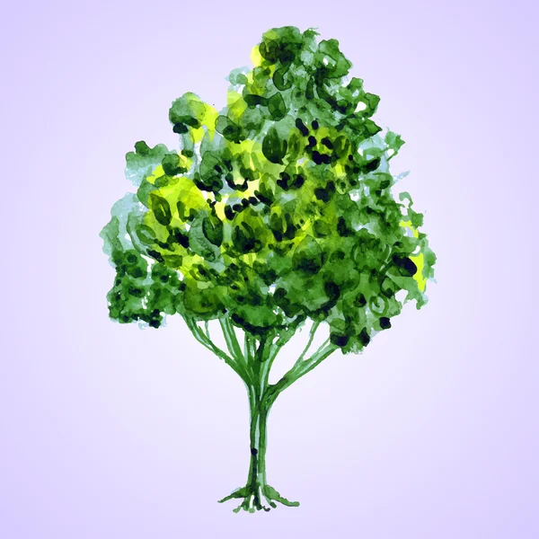 Akvarell gröna träd — Stock vektor