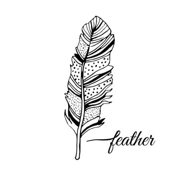 Dekoratif izole tüy.