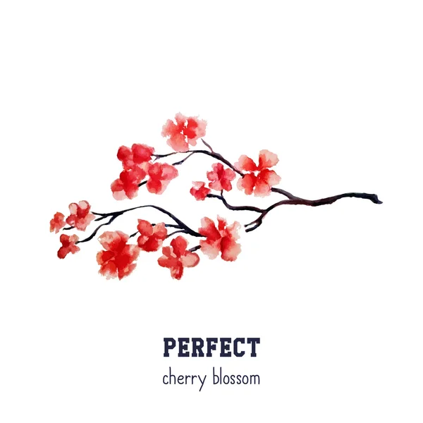 Realistic red sakura blossom