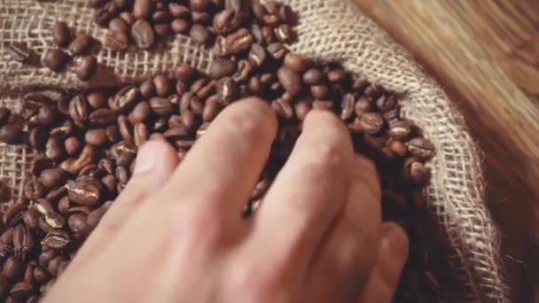 Zeitlupe Männlicher Hand Die Geröstete Kaffeebohnen Berührt — Stockvideo