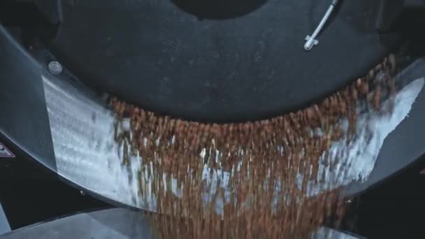 Roasted Coffee Beans Falling Machine — Stock Video