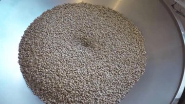 Fabrikadaki metal makinedeki çiğ kahve çekirdeklerinin üst görüntüsü.
