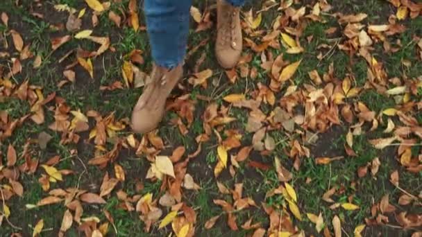 Částečný Pohled Ženu Procházející Podzim Listí Parku — Stock video