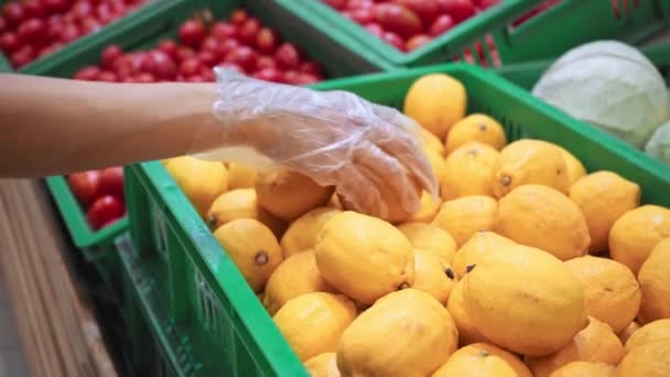 スーパーでレモンを選ぶ使い捨て手袋の女性のクロップドビュー — ストック動画