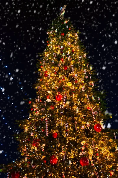 Вночі Прикрашайте Ялинку National Christmas Tree — стокове фото