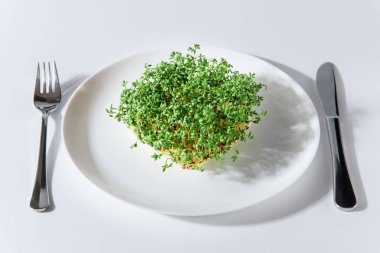 Beyaz tabakta taze tereler ve beyaz arka planda çatal bıçak seti. Evde mikroçim yetiştiriyorum. Sağlıklı yeme kavramı