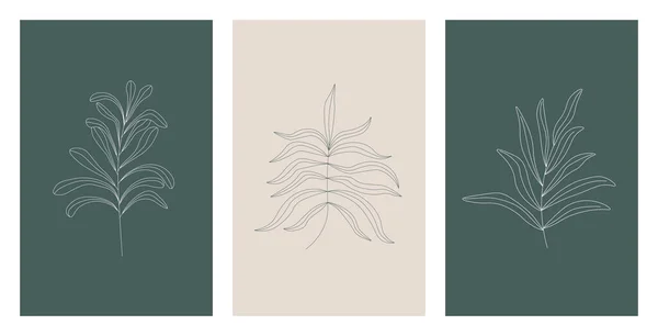 Векторний Набір Трьох Ботанічних Настінних Плакатів Зеленому Сірому Кольорах Модна — стоковий вектор
