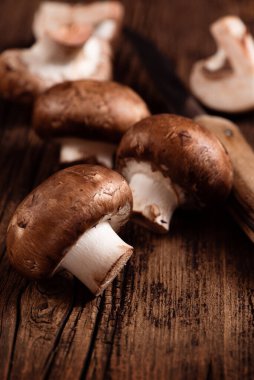 Ahşap kaplamalı kremini mantarlar. Bebek Portobello. - Yakın çekim. Seçici odak