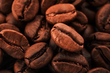 Kavrulmuş kahve çekirdekleri. Makro. Seçici odak