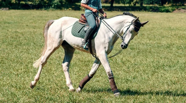 Jinete Caballo Doma Campo Verde Día Soleado Deporte Ecuestre Vista — Foto de Stock