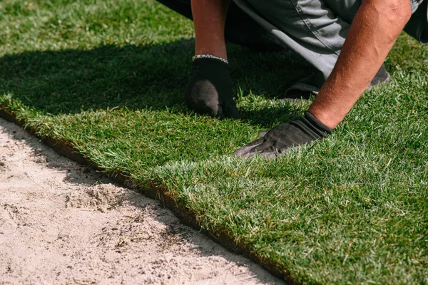 Stacking Roll Sod Hands Gardening Gloves Laying Turf Installing New — Stock Photo, Image