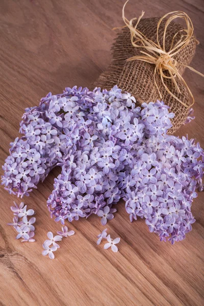Flores de lila —  Fotos de Stock
