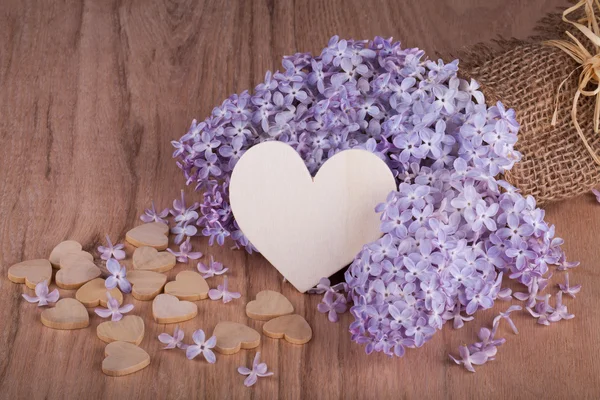 Lilac flowers — Stock Photo, Image