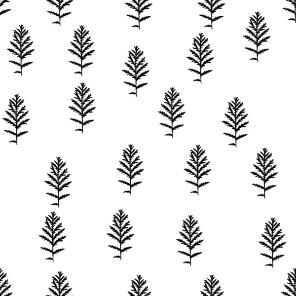 Vector naadloos patroon met bladeren, varen. Monochroom. Op een witte achtergrond. — Stockvector