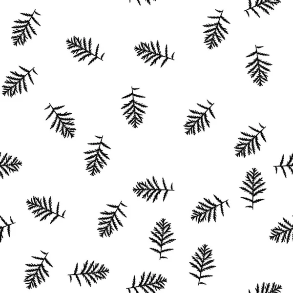 Vector naadloos patroon met bladeren, varen. Monochroom. Op een witte achtergrond. — Stockvector