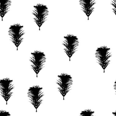 Beyaz arka planda el çizimi elementleri olan minimalist, pürüzsüz bir vektör deseni. Kara dallar izole edilmiş.