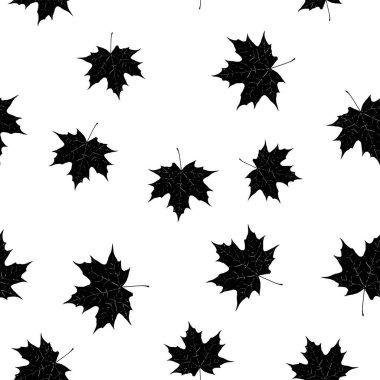 Akçaağaç yapraklarının kusursuz vektör deseni. Beyaz bir arkaplanda.