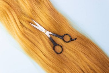 Mavi arka planda kırmızı yapay saç ve makas. Saç stili, saç kesimi, saç bakımı..