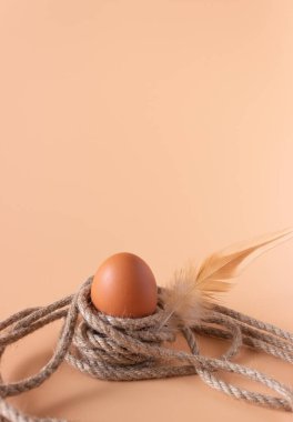 İp üzerinde tavuk yumurtası. Soyutlama