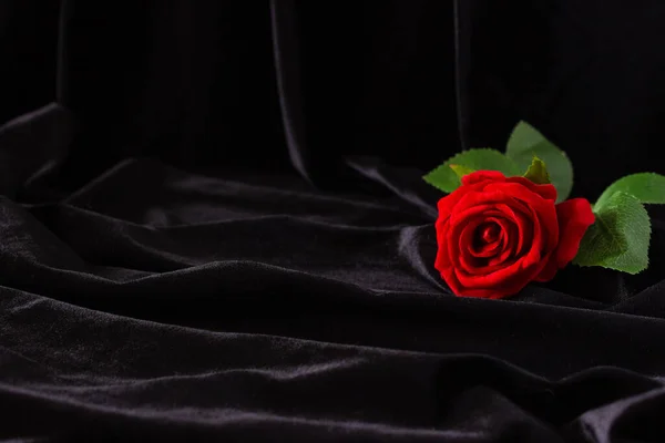 Red Rose Black Background Free Space Text — Stock Photo, Image