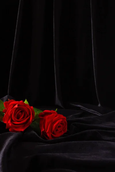 Червоні Троянди Чорному Тлі Вільне Місце Тексту — стокове фото