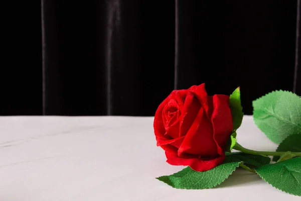 Red Rose White Table Black Background Free Space Text — Fotografia de Stock