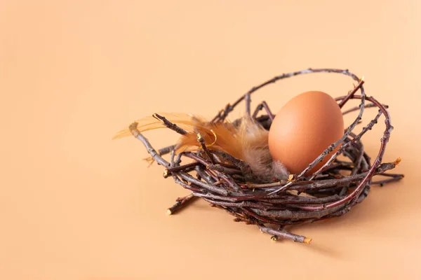 Huevos Pollo Nido Sobre Fondo Beige Agricultura Pascua Espacio Libre —  Fotos de Stock
