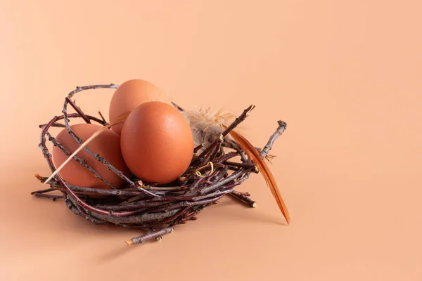 Huevos Pollo Nido Sobre Fondo Beige Agricultura Pascua Espacio Libre —  Fotos de Stock