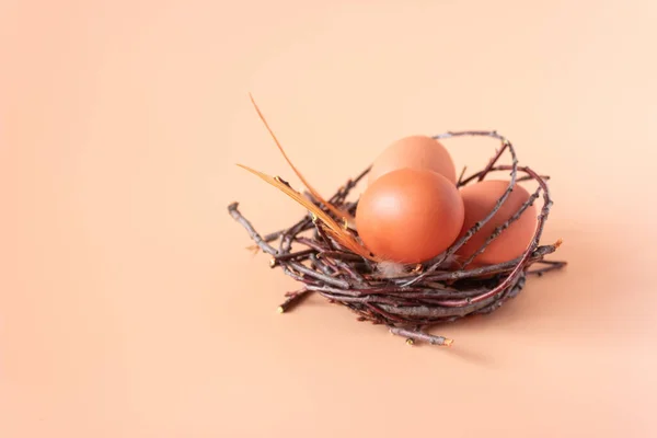 Huevos Pollo Nido Sobre Fondo Beige Agricultura Pascua Espacio Libre —  Fotos de Stock