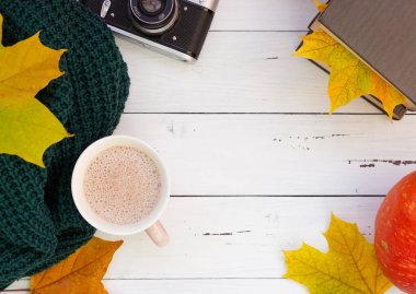 Sonbahar düzlüğü, nadir bulunan bir kamera, sonbahar yaprakları ve örülmüş bir şey. Metin için boş alan
