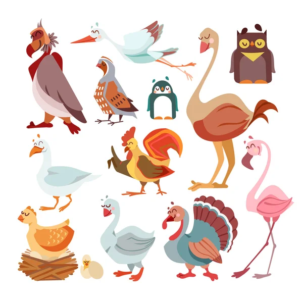 Gran conjunto de lindas aves de dibujos animados — Vector de stock