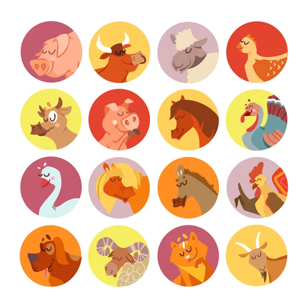 Animales de granja de dibujos animados y aves — Vector de stock