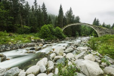 taş köprü, rize, Türkiye