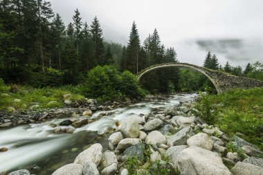 taş köprü, rize, Türkiye